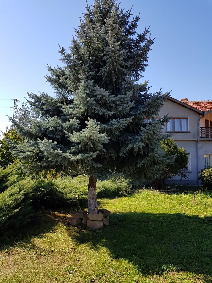 Къща За Гости Садово Guest House Sadovo Exteriör bild